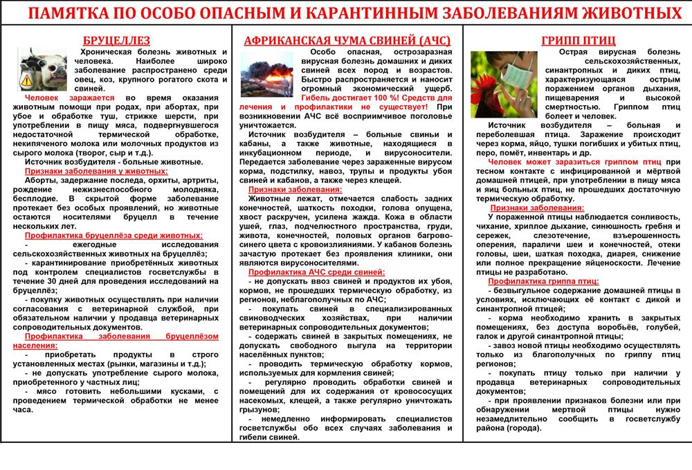 Памятка по особо опасным заболеваниям животных
