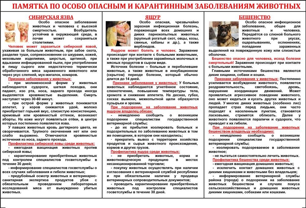 Памятка по особо опасным заболеваниям животных